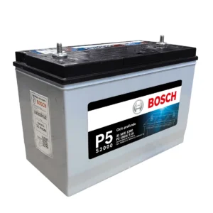 Bateria P5 S2000 Ciclo Profundo